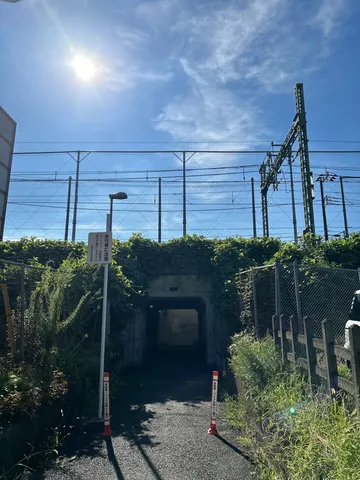 緑に覆われたトンネルの入り口