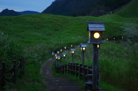 光の連なる宵の道