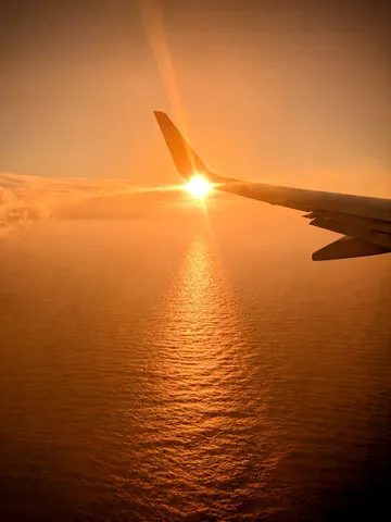 空と海、黄金の絨毯
