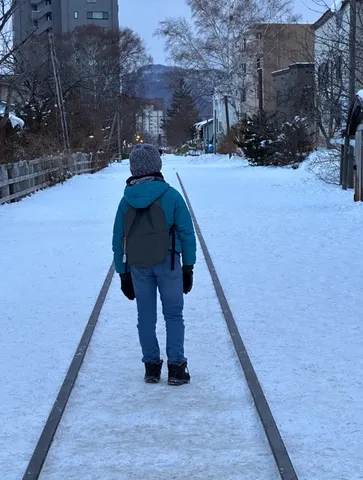 雪の道、静かに続く線