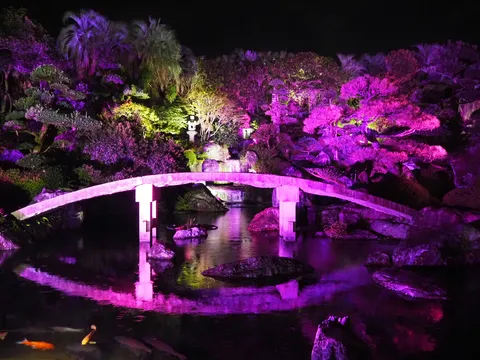 夜の庭に映える橋影