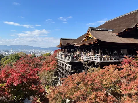 紅葉の絶景、天空の舞台