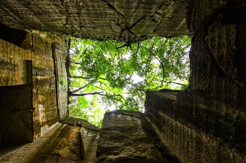 空を見上げる、緑と石の洞窟