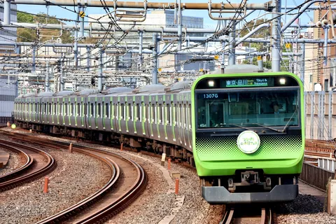架線の森を抜ける緑