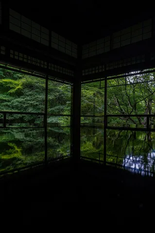 深淵なる緑の映り込み