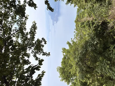 樹々が額縁、碧い海の情景