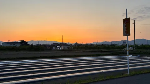 夕暮れに染まる田園風景