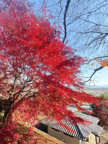 燃えるような赤、秋の風景