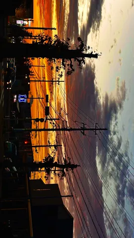 都市を彩る夕焼けの電線