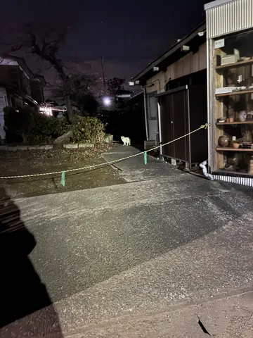 夜の路地に潜む静かな物語