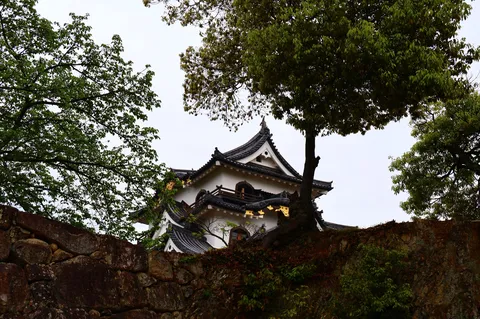 古城の屋根と新緑のコントラスト