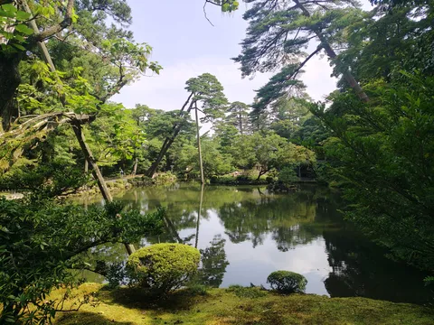 静寂の緑に抱かれた水鏡