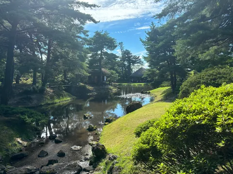 木漏れ日と水鏡の静寂