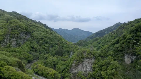 新緑の山道、旅情を誘う風景