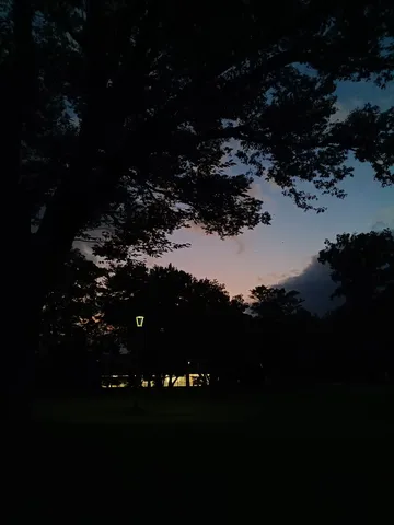 夕暮れの林と灯りの静寂