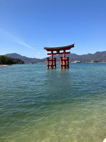 海中鳥居、今日も元気に立ち泳ぎ