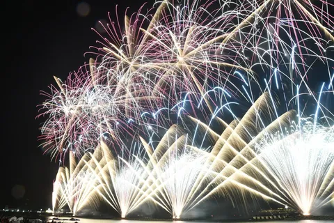 夜空と水面を染める華
