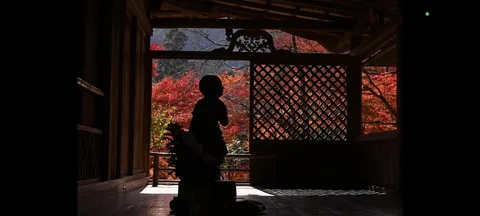 錦秋を望む静かな刻