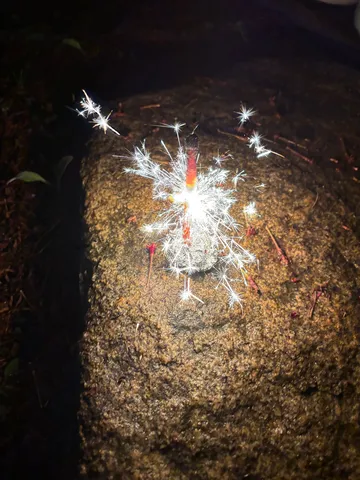 静寂に咲く、星屑の華