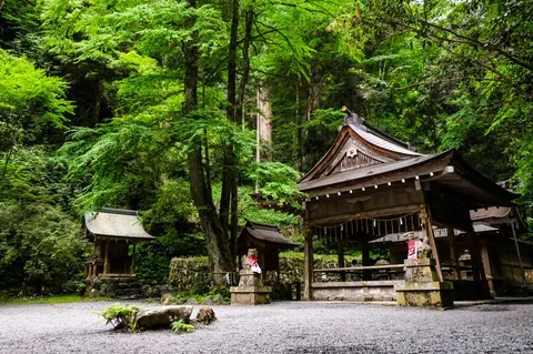深緑の神域、静寂の佇まい