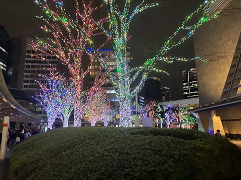 都会の木々も本気出す夜