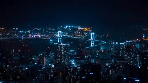 青い橋が浮かぶ夜景