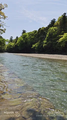 透明な流れ、木漏れ日の川辺