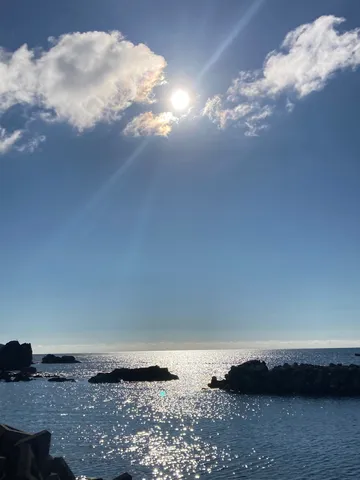 太陽が水面で踊る日