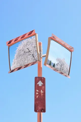 青空と鏡に映る桜