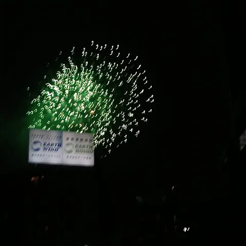 夜空を彩る光の華