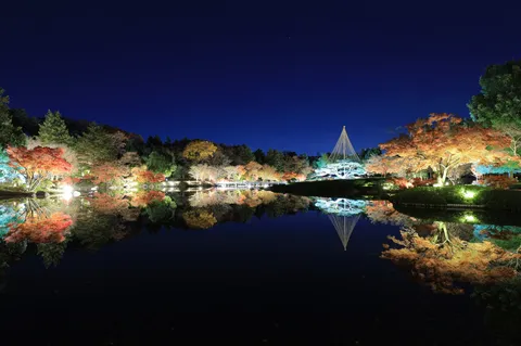 鏡の池に映る、秋夜の煌めき