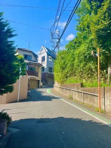 新緑と坂道のコントラスト