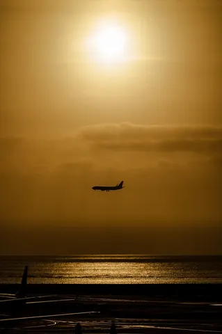 夕日を浴びて飛ぶ飛行機