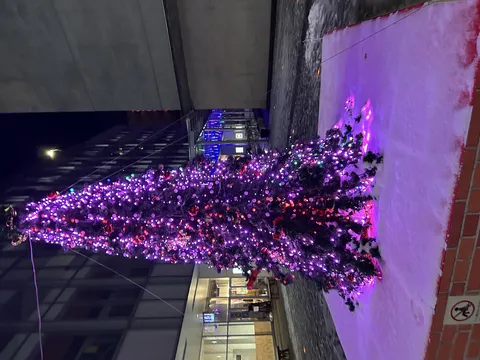 夜空に映えるパープルツリー