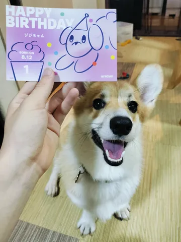 ジジちゃんの１歳のお誕生日！
