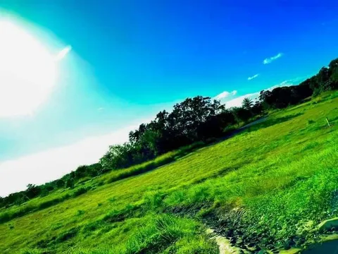 空と緑の斜面