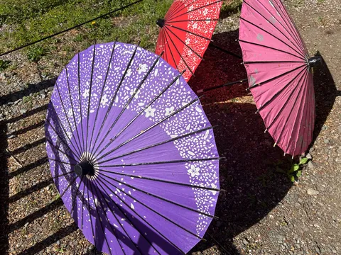 風に揺れる色の傘たち
