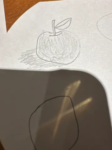 リンゴの淡い影に映る光