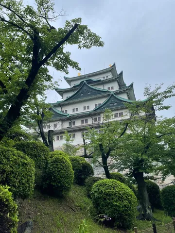 緑と古城のコントラスト
