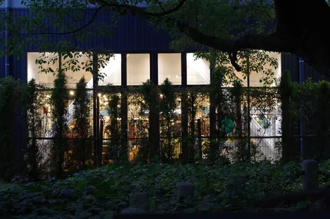 夜の窓に蔦が絡む光景