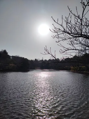 輝く水面と静かな日