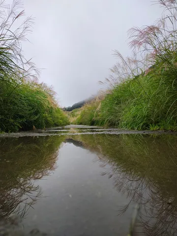 霧の道と水鏡の風景