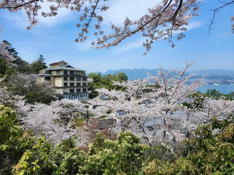 桜咲く古都の宿