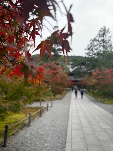 紅葉の小道を歩く