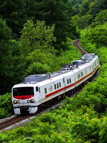 緑深き森を駆ける白き列車