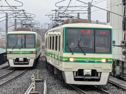 並走する2両の電車
