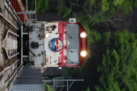緑の中を走る姉妹鉄道の列車
