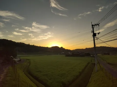 夕暮れの田園風景、電線がアクセント