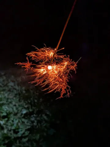 瞬く星屑、闇夜を彩る