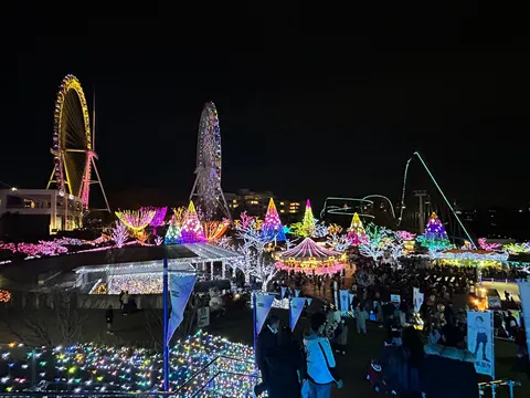 光の遊園地を見渡して